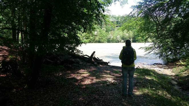 13225252_1288629447833761_1185795515_o