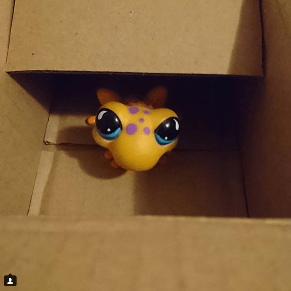 Screenshot-2018-2-25 baenkliussicht auf Instagram „Geronimo zieht um - Geronimo is moving to ideensammlerin So wie sich di[...]